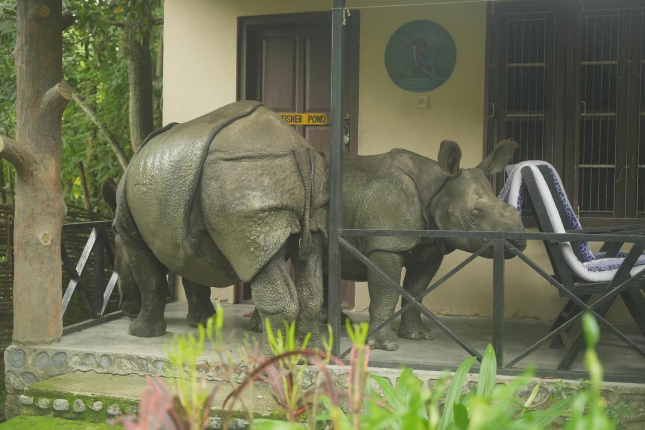 Chitwan Gaida Lodge - Animal Lovers & Birdwatchers Paradise Sauraha Extérieur photo