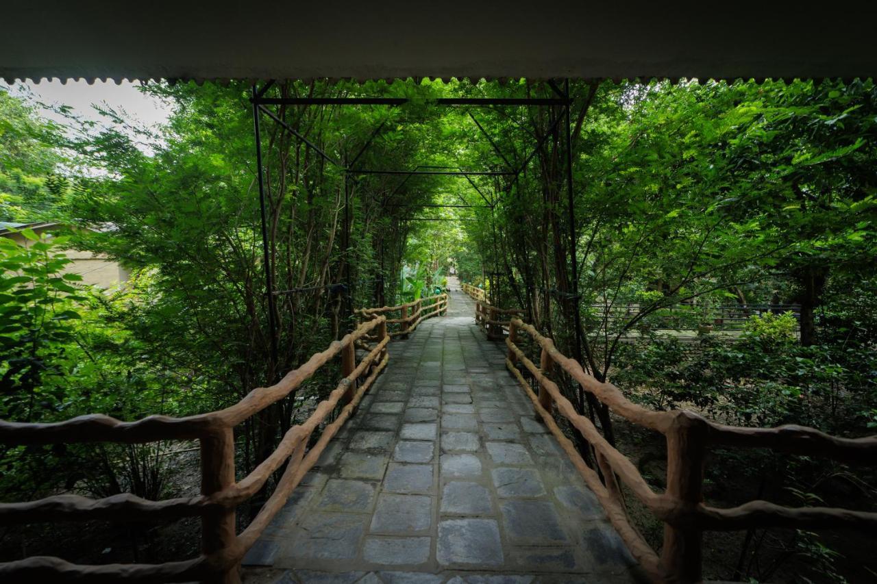 Chitwan Gaida Lodge - Animal Lovers & Birdwatchers Paradise Sauraha Extérieur photo