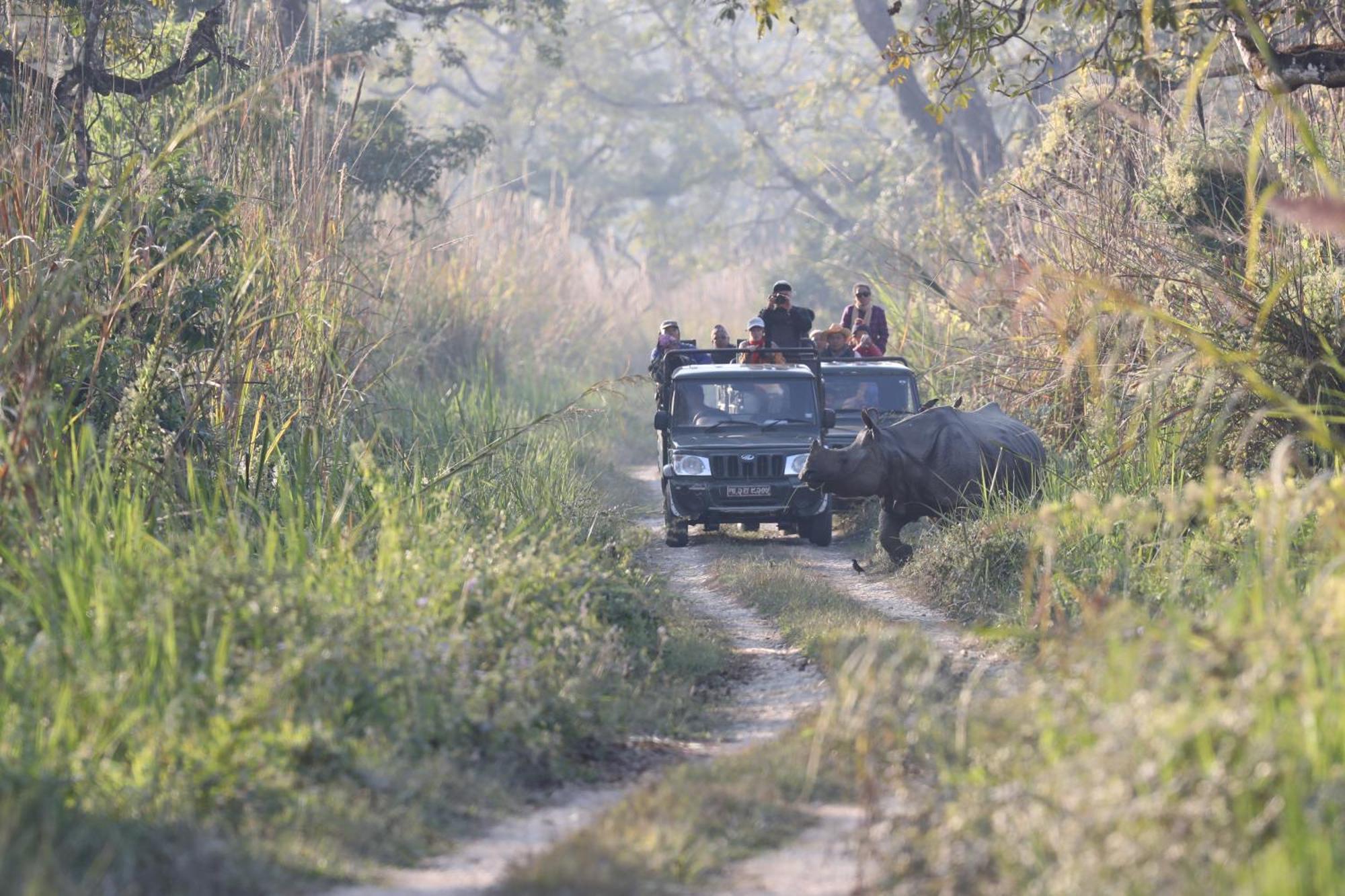 Chitwan Gaida Lodge - Animal Lovers & Birdwatchers Paradise Sauraha Extérieur photo