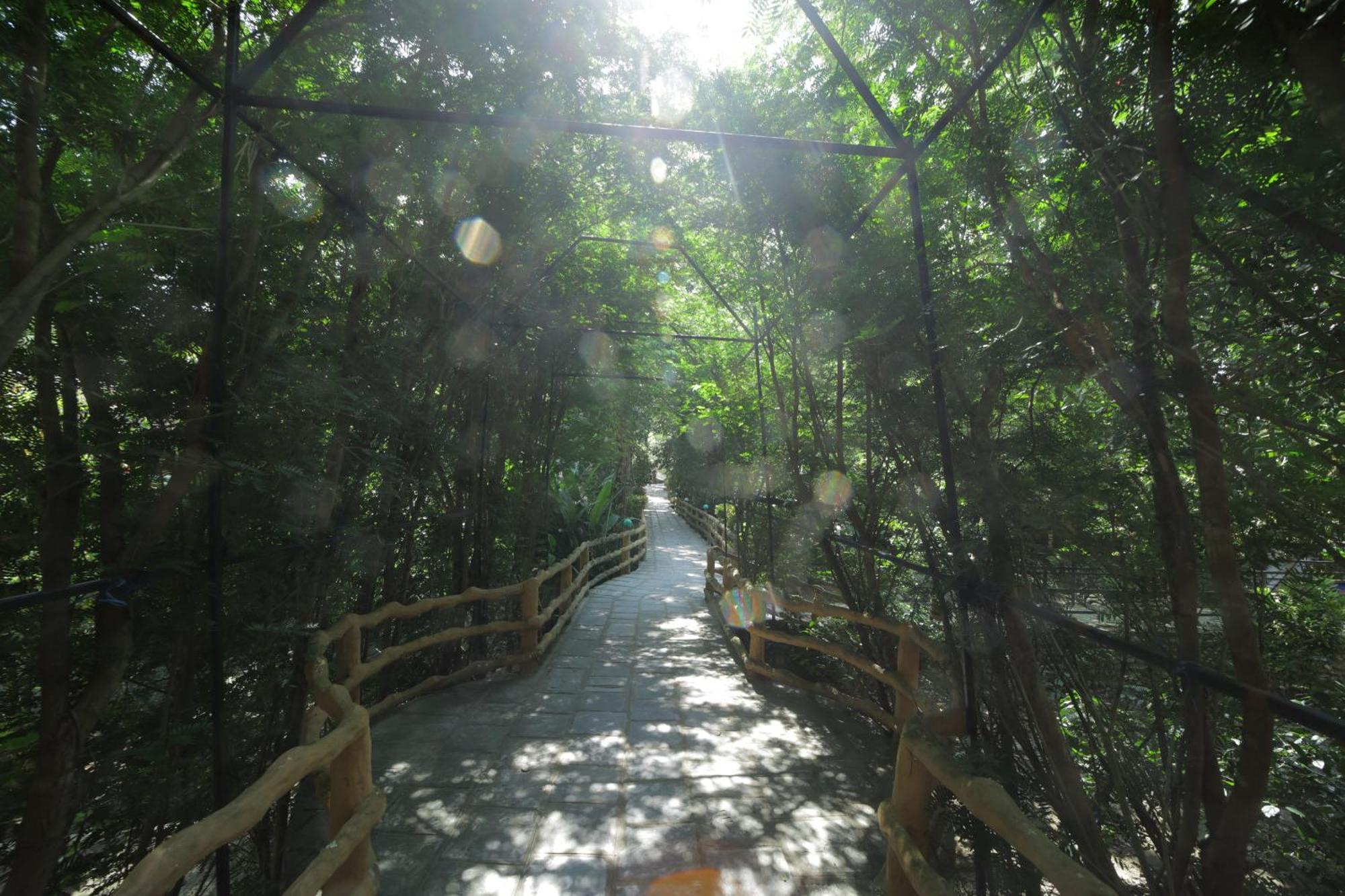Chitwan Gaida Lodge - Animal Lovers & Birdwatchers Paradise Sauraha Extérieur photo