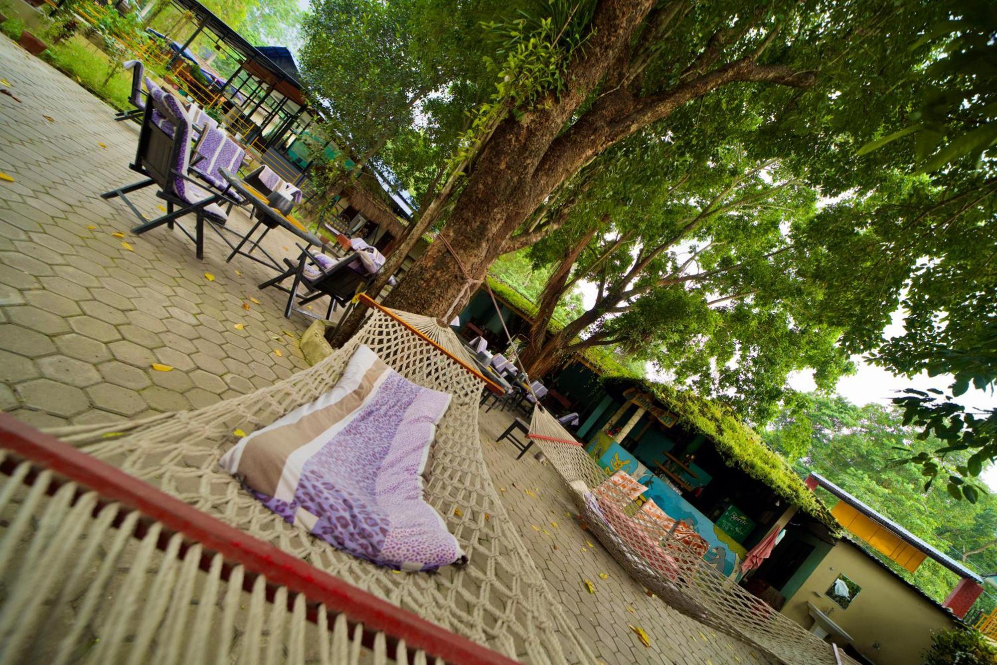 Chitwan Gaida Lodge - Animal Lovers & Birdwatchers Paradise Sauraha Extérieur photo