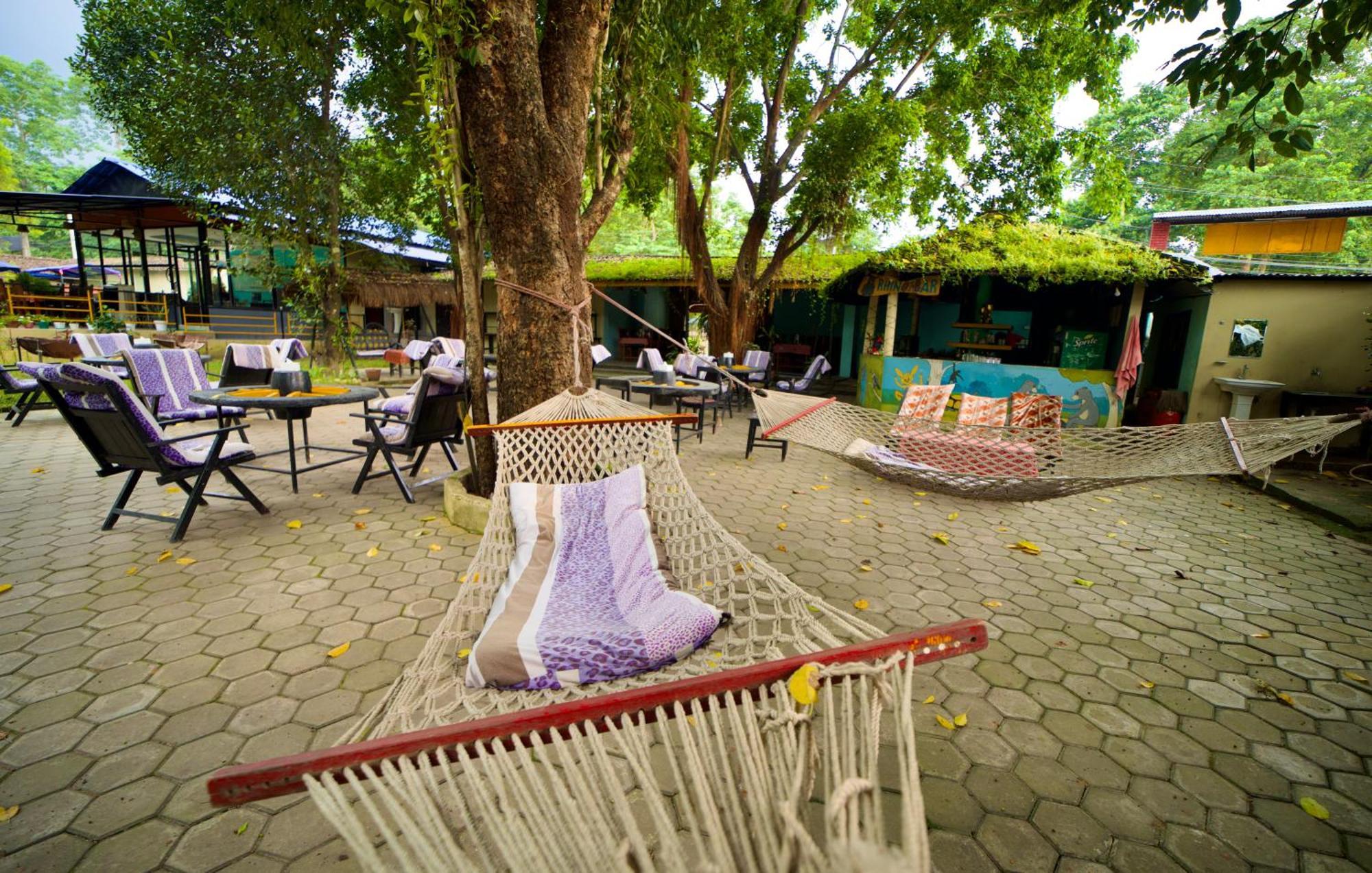 Chitwan Gaida Lodge - Animal Lovers & Birdwatchers Paradise Sauraha Extérieur photo